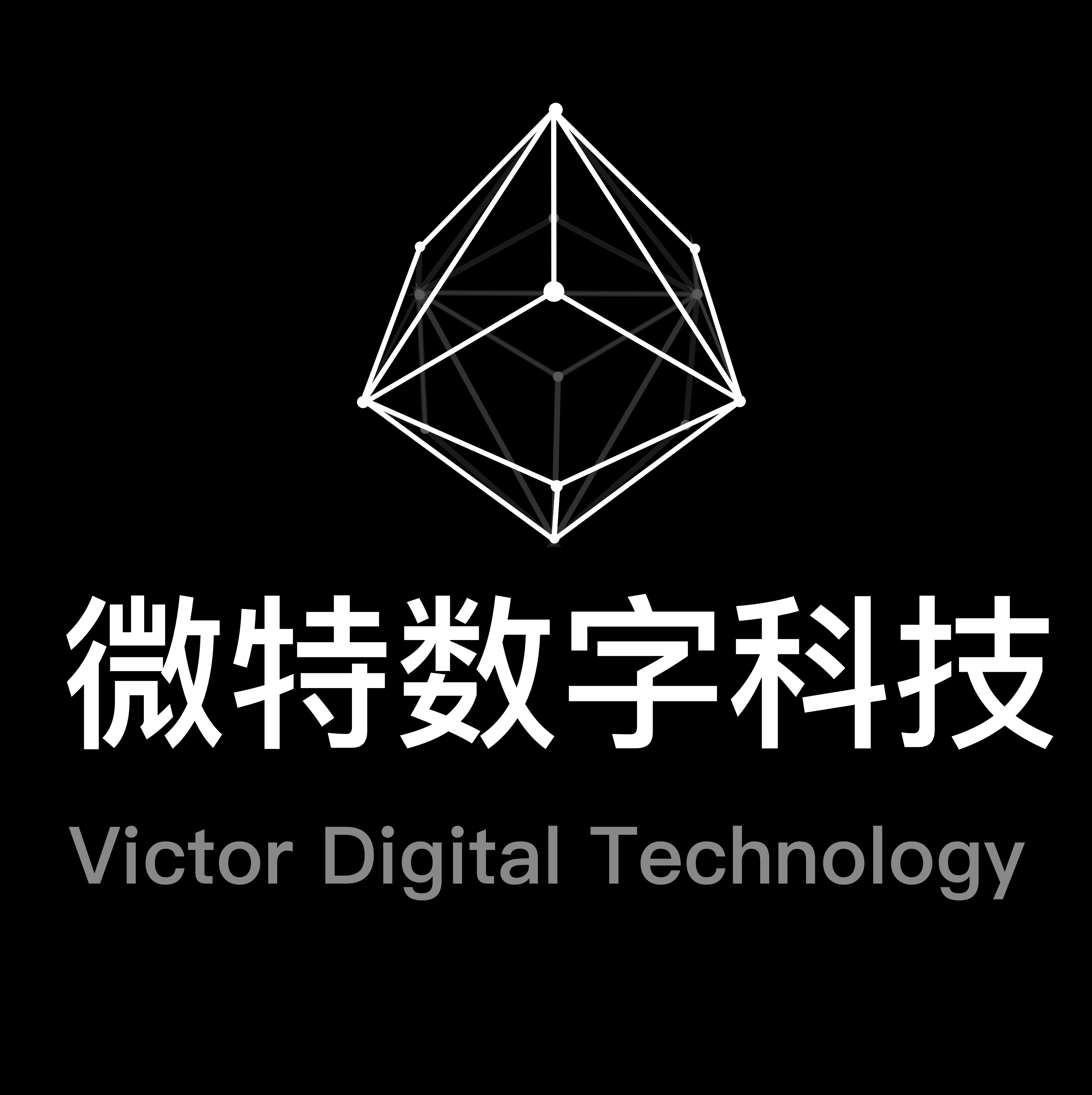 微特数字科技