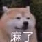 雨滴-先生