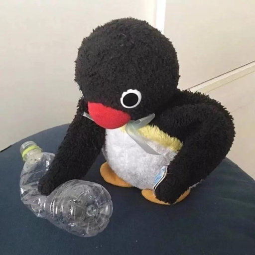 泡泡半只猪