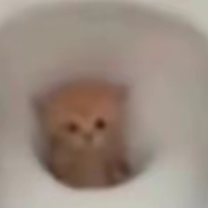 NIJI秋刀鱼