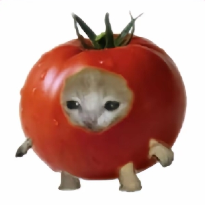 番茄猫meme小剧场