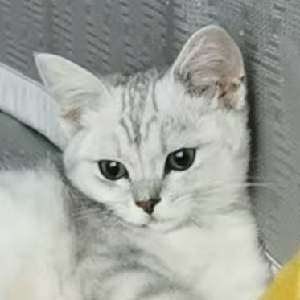 发誓不做夜猫子