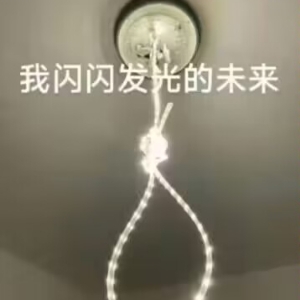 牛哔哩,一个只有评论的网站