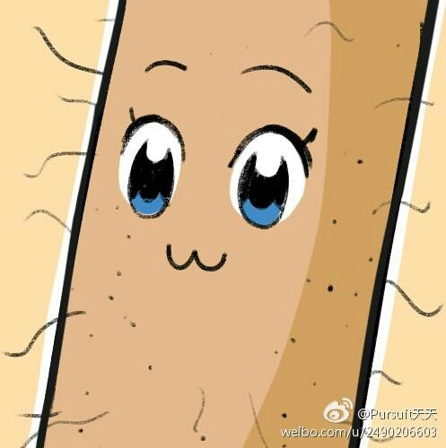 莫急! - 山药 - 哔哩哔哩直播