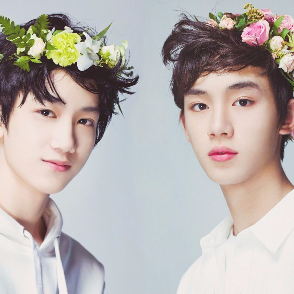 爱鑫逸爱双校草