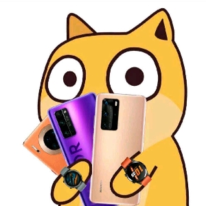 铁头阿彪11