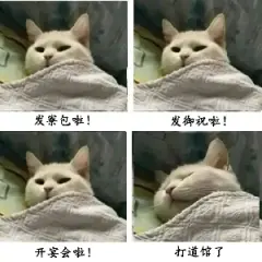 小夜鸣彻的个人空间 哔哩哔哩 Bilibili