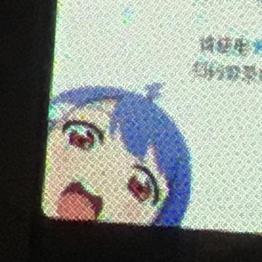 紅葉こうよう_MiWatch