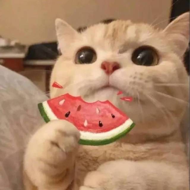 在世瞬光