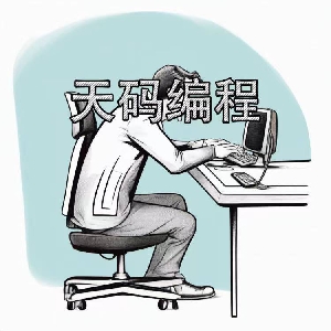 天码编程