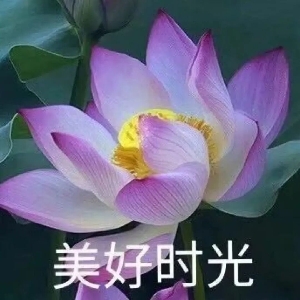 云不可爱