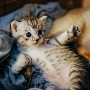 【朱一龙水仙】浮生一面(影视同人)二