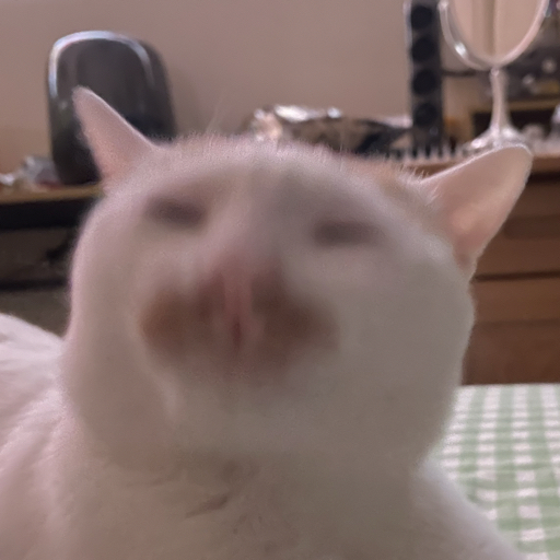 惨綠青年
