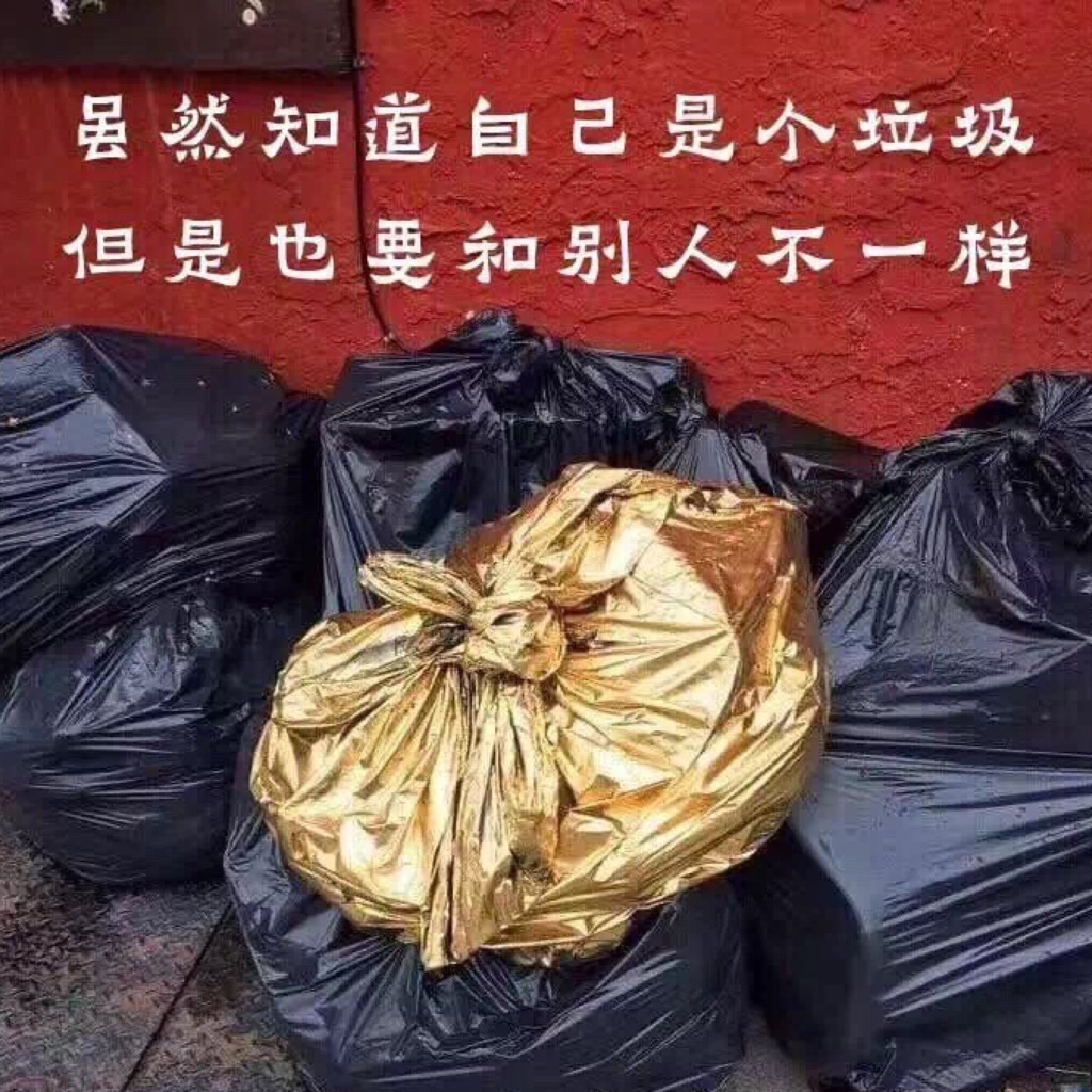 牛哔哩,一个只有评论的网站