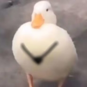 奇怪的辅助z