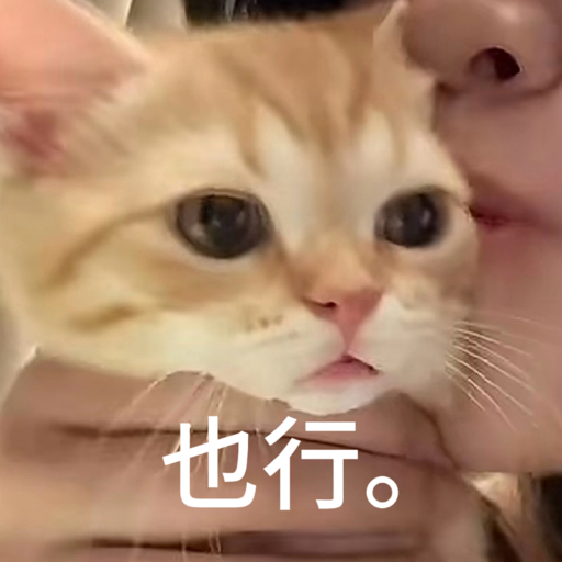 蘑菇蘑菇ashleyashley