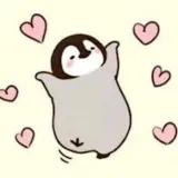 Wear应用库正式上线 哔哩哔哩 Bilibili