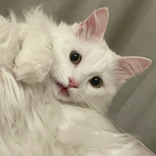 ⚠