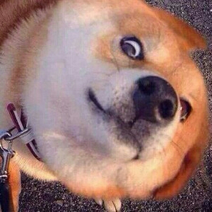 万代HGIBO 加拉尔霍恩 阿里安赫罗舰队(冈钉套