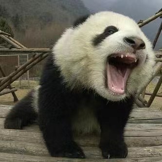 卡森谈链