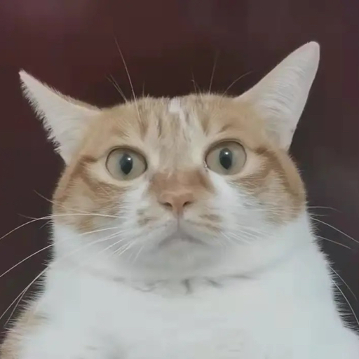 ⚠