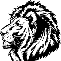 CEO、CTO等C什么O分别是什么职位?