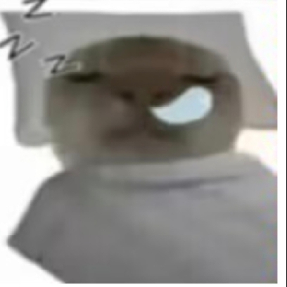 鼠鼠自记