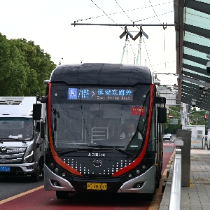 Z5C-5081