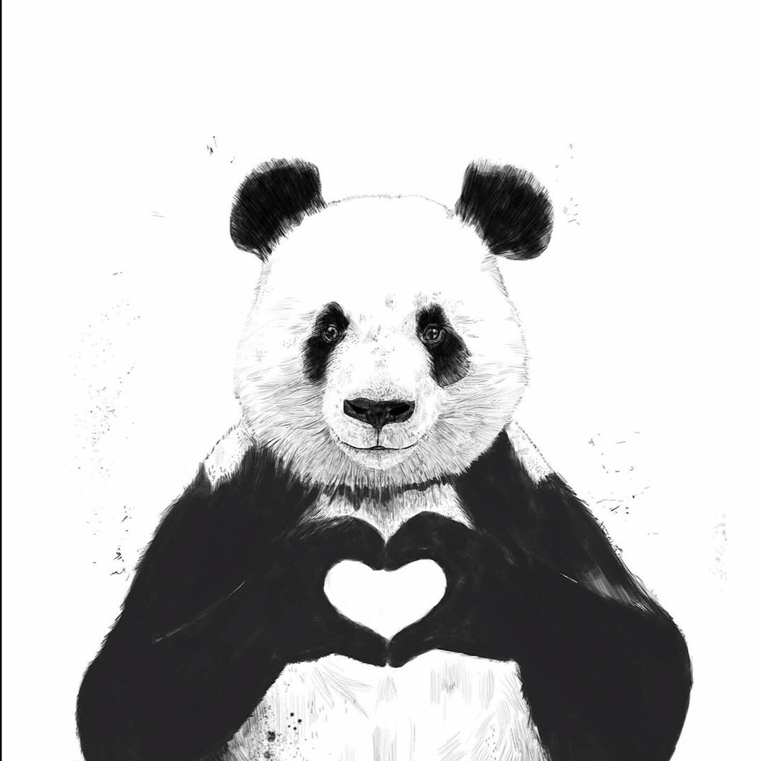 【马鹿】《台风为何有姓名》