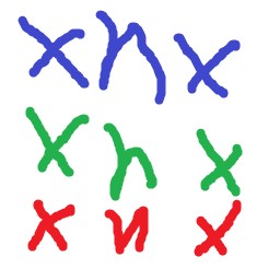 xhx11-computer