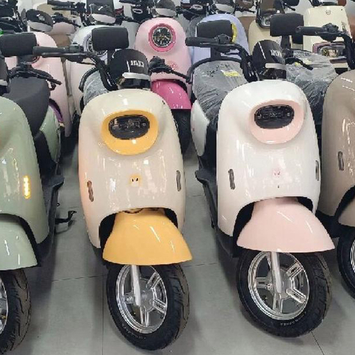 南澳岛租电动车