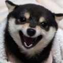 ⚠