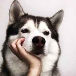 背书白