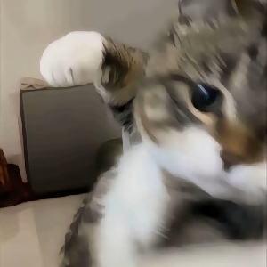 小城阴雨