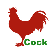 抖小腿儿