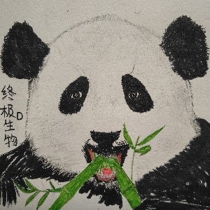 斩断泽法右臂的七武海竟然也和贝加庞克博士有着神秘的联系 哔哩哔哩专栏