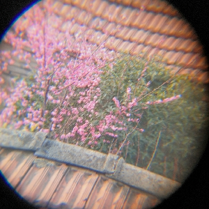 真的有361度角