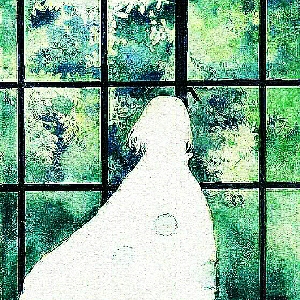 晨晨814