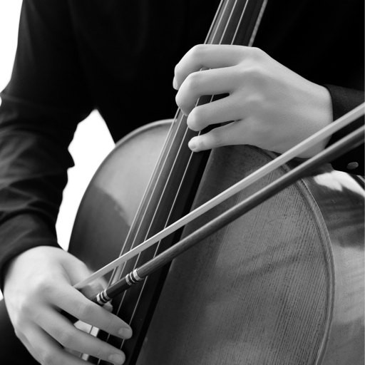 迷迭香周杰伦大提琴