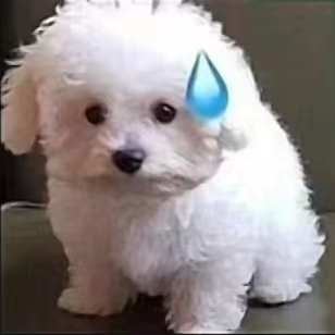 汪汪队睡大觉---