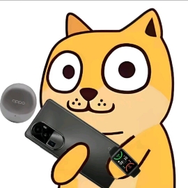 杨纸数码