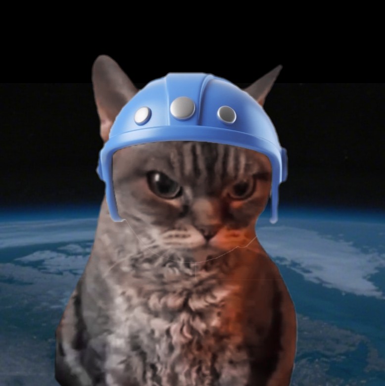严肃猫-蓝星保卫meme
