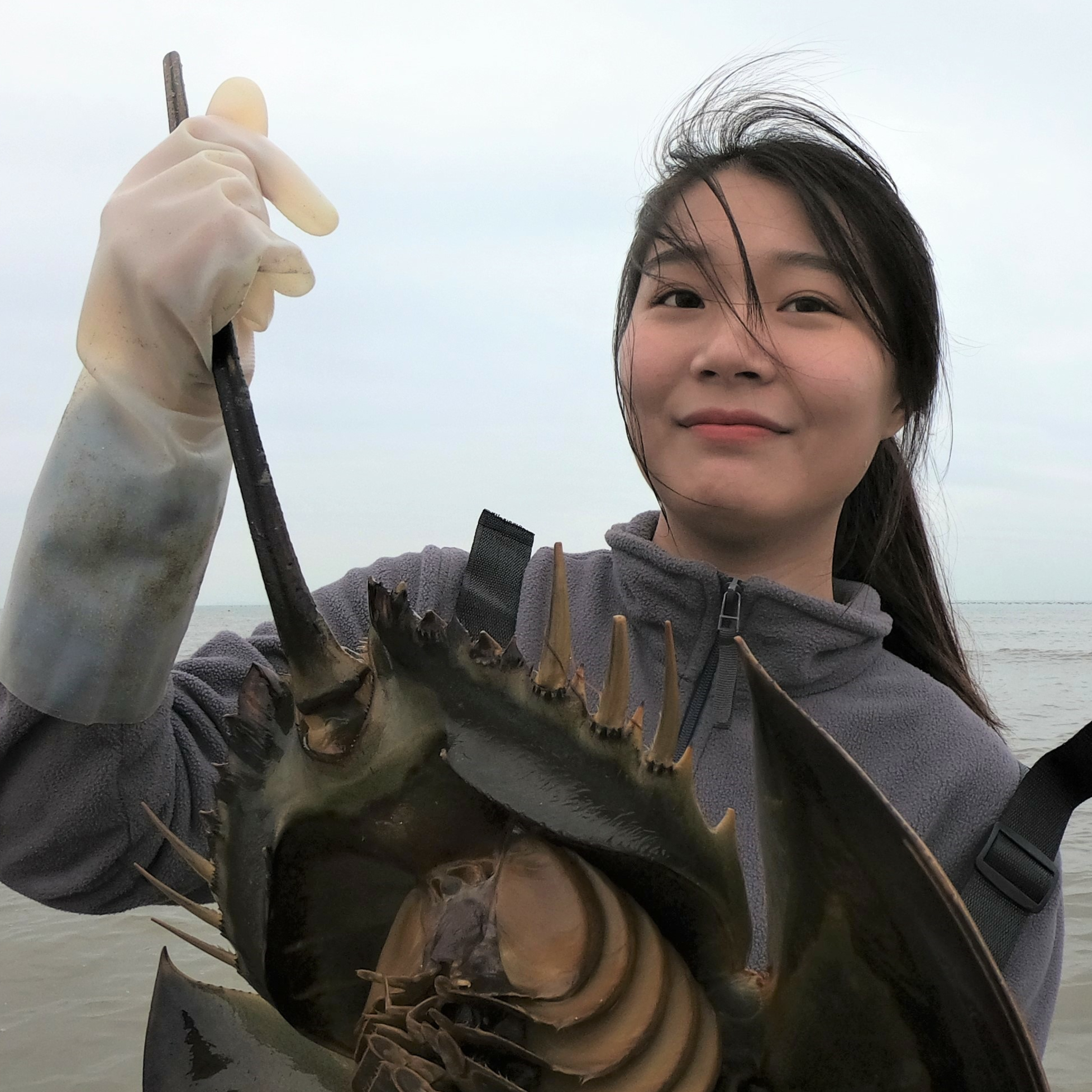 皮皮等到潮水涨一半来赶海,好货猛货都抓到了,抓完一只又来一条