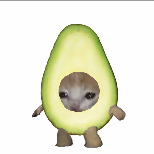 福福的猫meme