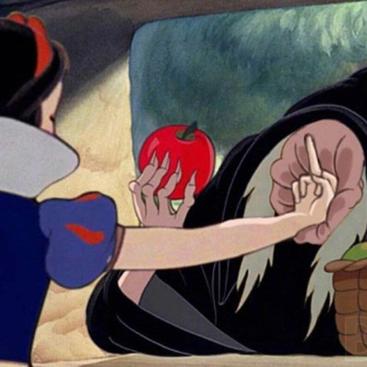 思修作业青春之问在有限的生命历程中什么最值得你去追求