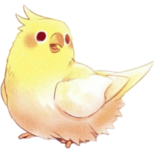 石头放入鱼缸前一定要经过处理,二次处理后,效果显而易见