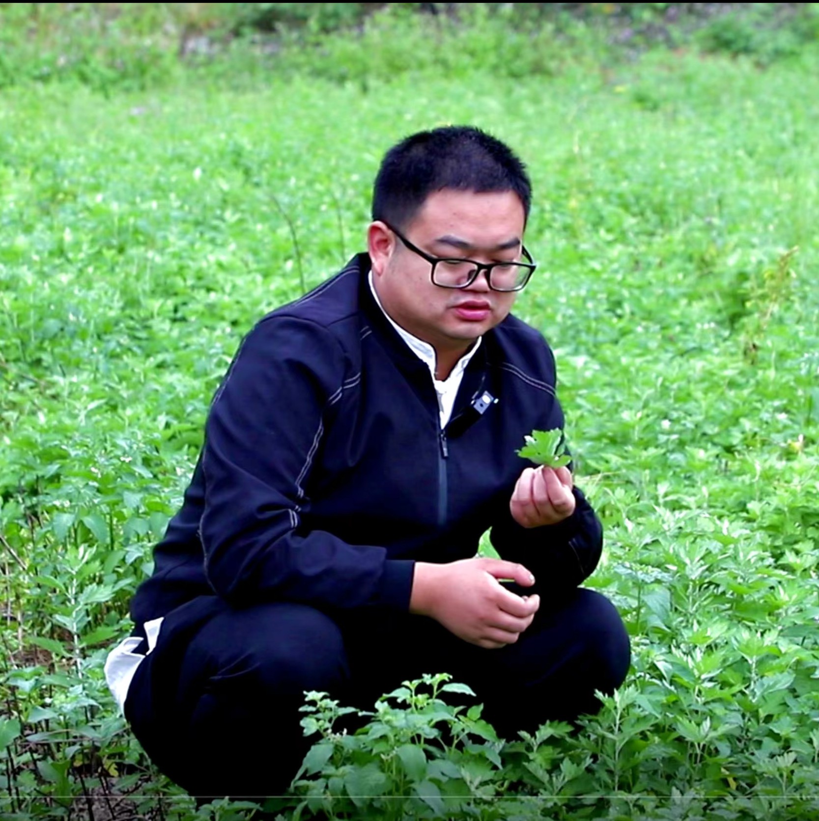 牛哔哩,一个只有评论的网站