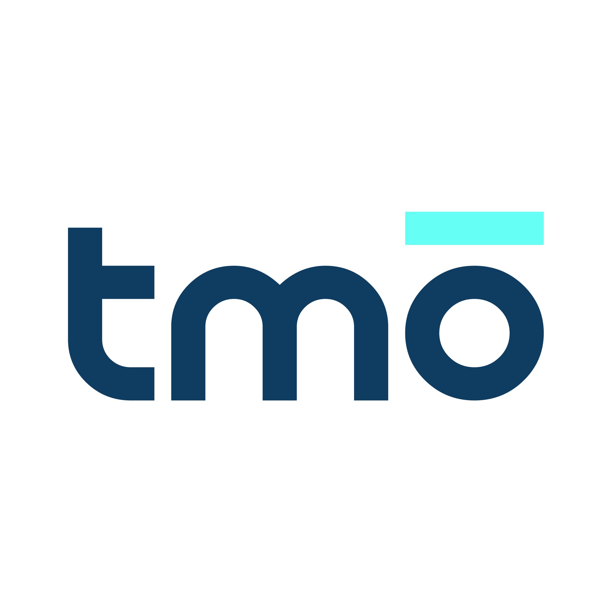TMOGroup探谋网络科技