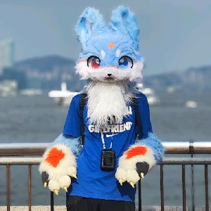 小杰是只爱拍地铁狼狐