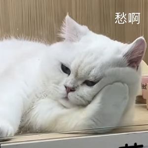 云遘